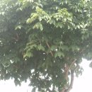 용봉자동차공업사 이미지