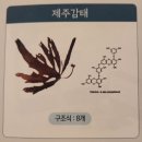아하데이스파안동옥동점 | 항산화 및 강력한 항염효과가 있는 막강 제주감태