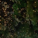 순천만국가정원 국가정원식물원 화장실 이미지