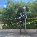 달성군청소년센터 | [내돈내산] 원정 자유수영 : 대전 평송청소년문화센터 수영장 후기
