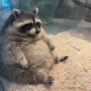 부림지하상가 | 좌충우돌 1박2일 밀가루도시 여행기