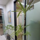 새말논술국어학원 | 아이 성향까지 세심히 챙겨주는 노은동 국어 학원, 미담국어논술학원 노은점 후기