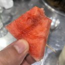 돼지로한판민족의국민먹거리돼한민국 | 돼지고기 삼겹살 소갈비살 맛집 연탄구이 돼한민국 부천점