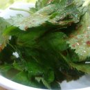 청학동 손칼국수 이미지