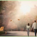 아담스펫 강아지분양 고양이분양 인천본점 이미지