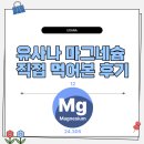 유사나 - 청주시 흥덕구 가경동 | 유사나 마그네슘 직접 먹어본 후기