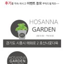 호산나꽃다육