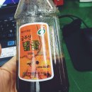사당 맛집 파스텔시티 코코이찌방야 유니클로 후리스 기침에 좋은 금충초