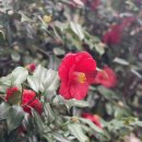 늘봄까페 이미지