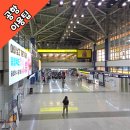 청주공항 리뉴얼 후기 주차비, 체크인, 맛집, 편의시설 완벽 가이드