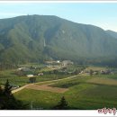 늘푸른무침회식당 이미지