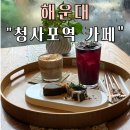 해운대 청사포 카페 "청사포역" 한옥 카페 후기 (해운대 블루라인 파크)