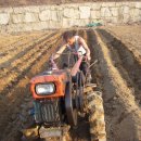 고골농장 이미지