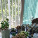 장안동가스충전소 이미지