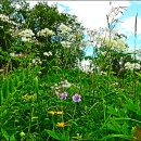 백두목장 이미지