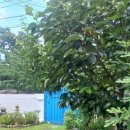 경산자인우체국 이미지