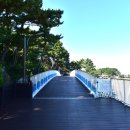 증산~삼척해변 이미지