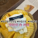 과일의숲 - 김해시 덕정로204번길 18 | [김해망고빙수맛집]망고빙수찐맛집추천/신메뉴과일산도 김해과일의숲본점(산도내돈내산후기)