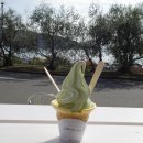 후야돈 | 2박 3일 다카마쓰 여행_ day3. 야돈 페리를 타고 (ヤドンフェリーに乗って)