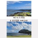 성산등용로 | 우도비양도 여행 후기&amp; 성산일출봉 근처 수마카페에서 힐링한 하루