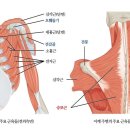통증없는 바른몸 안마원 이미지