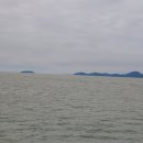 신도바다역 이미지