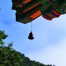 조각구름 이미지