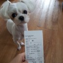 아이봄동물병원 이미지