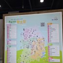 2024 대한민국 우리술 대축제 후기(Feat. 전통주 추천)