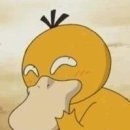 합천명품돼지 이미지