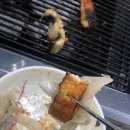 훔친수산풍천민물장어 이미지