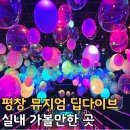 평창아름다운세상 | 평창 용평리조트 뮤지엄 딥다이브 강원도 가볼 만한 곳