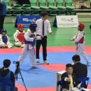 아랑태권도 이미지