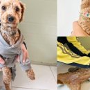 포항시남구53 이미지