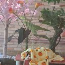 호텔고로롱 이미지