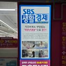 으뜸플러스안경시화배곧점 | 시흥 배곧 안경 전문점! 착한 가격의 배곧동 안경, 으뜸플러스안경 시화배곧점 :)