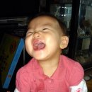 분당-281 이미지