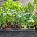 경신농약사 이미지