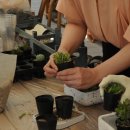 에덴플라워 이미지