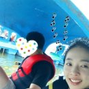김프로바이크 이미지