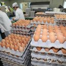 윤정희농장 이미지