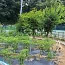 신원동-19 이미지