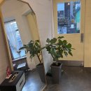 경북대학교 제2북문 이마트 24 맞은편 횡단보도 | 경북대 맛집 베스트 TOP 10 추천