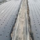 다금농장 이미지