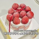 베어푸드 | 서현역케이크 맛집🎂 해피베어데이 AK플라자 분당점 리얼 후기