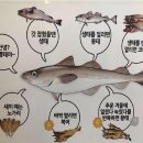 동태찌개 유명한집(본점) 이미지