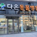 광주다온동물병원 이미지