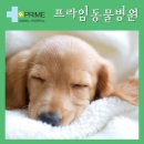 구리동물병원 이미지