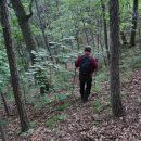 시루봉(898m)다람봉(868m) 성불산(771m)/경남 거창군 북상면 이미지
