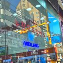 [경기/시흥] &#39;아이월드 위드렌즈&#39; 시흥거모점에서 시티팝(먼슬리) 브라운,블루그레이로 오묘한 투톤...